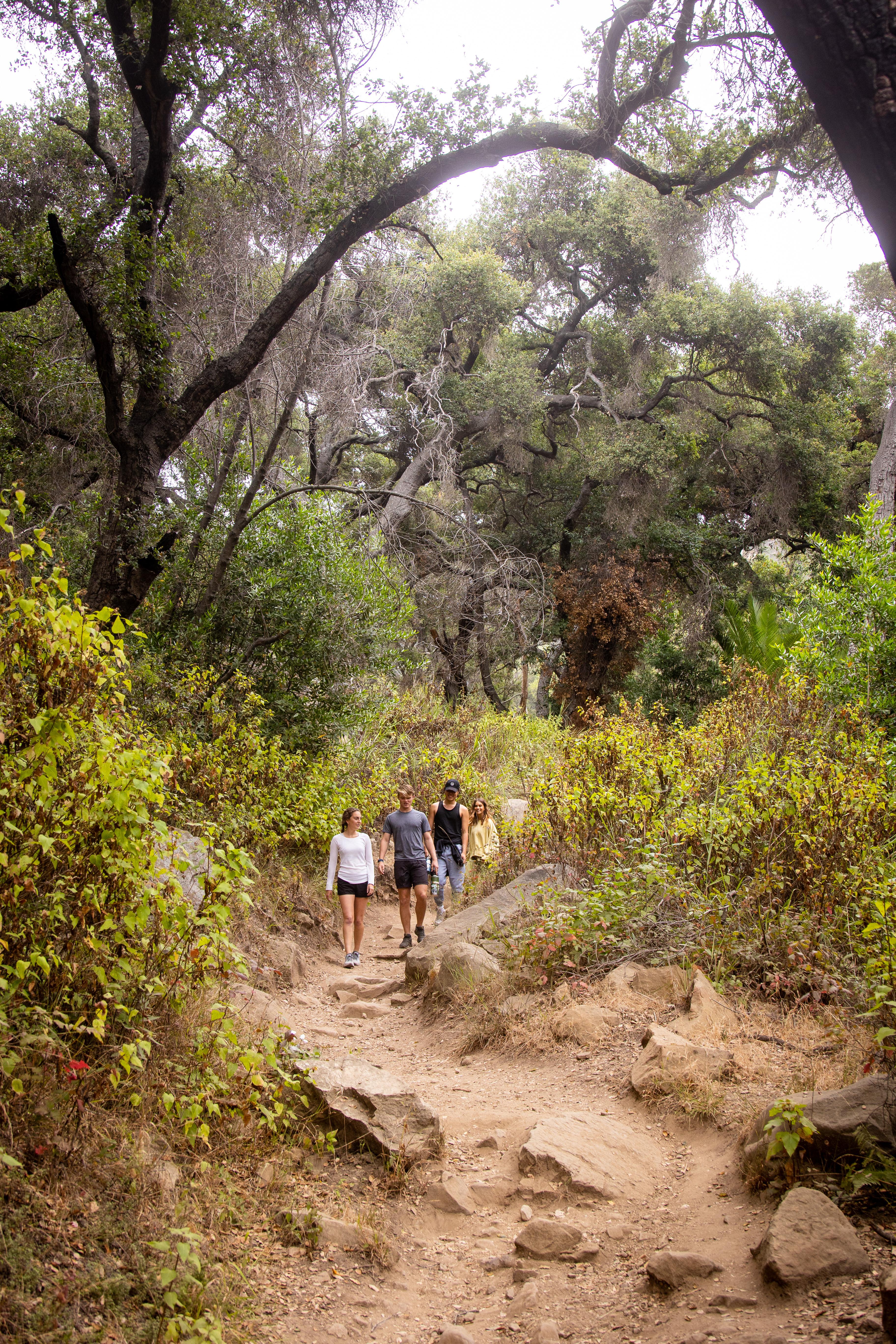 trailhead students hiking